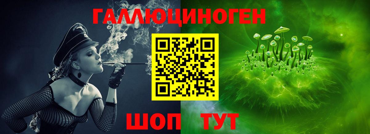 Псилоцибиновые грибы мицелий Кохма