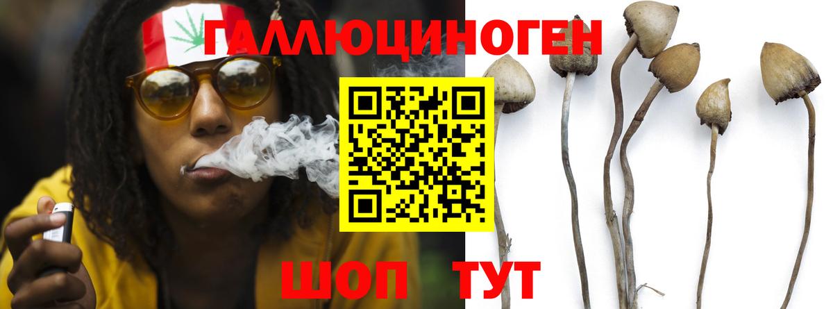 купить закладку  Галлюциногенные грибы GOLDEN TEACHER  Вход с VPN  Галлюциногенные грибы GOLDEN TEACHER  Кохма 